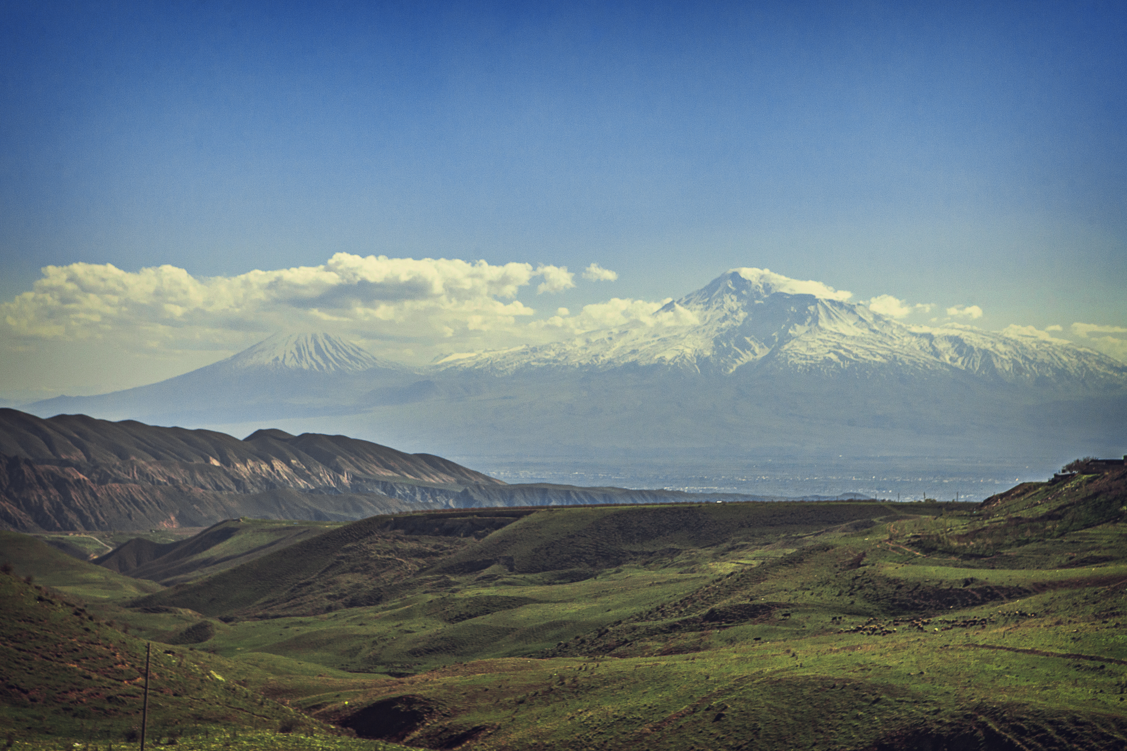 ararat